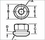 Flange Nuts