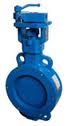 Butterfly Valves