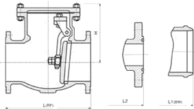 Check Valve Exporters