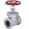 Gate valve 