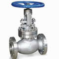 Globe Valve 