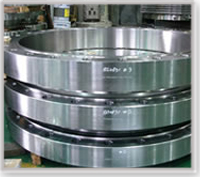 Steel Flanges